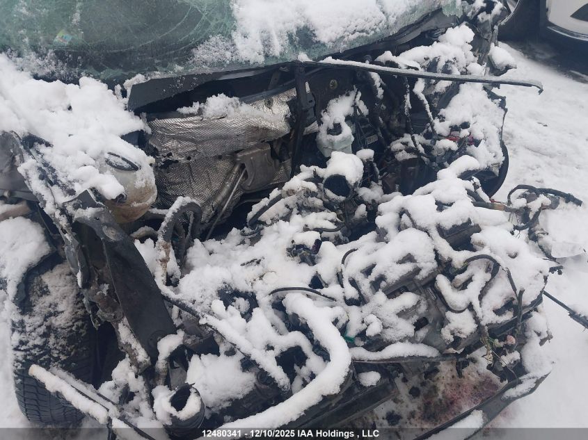 2017 Volkswagen Tiguan Trendline VIN: WVGHV7AX5HK040143 Lot: 12480341