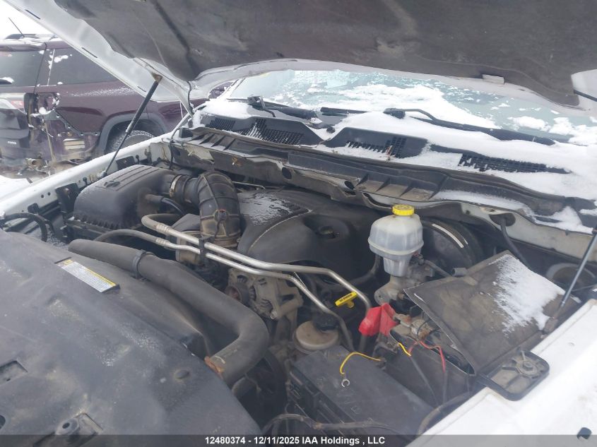 2011 Dodge Ram 1500 VIN: 1D7RV1CT7BS675524 Lot: 12480374