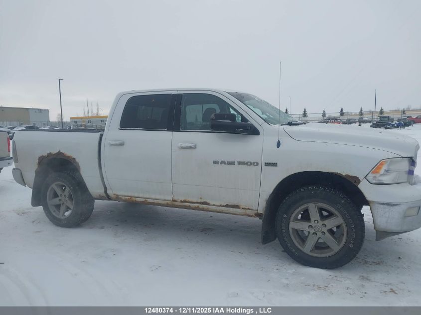 2011 Dodge Ram 1500 VIN: 1D7RV1CT7BS675524 Lot: 12480374