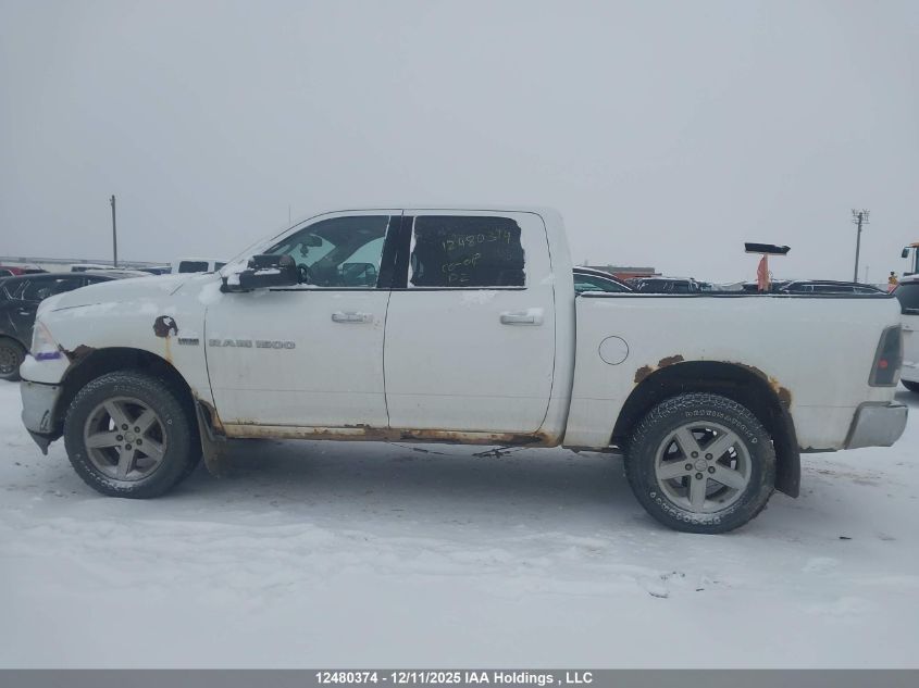 2011 Dodge Ram 1500 VIN: 1D7RV1CT7BS675524 Lot: 12480374