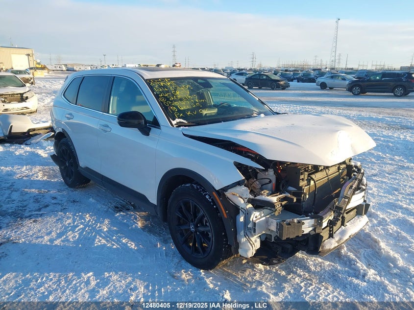 2HKRS6H77RH205160 2024 Honda Cr-V Ex-L Hybrid auction photo 1