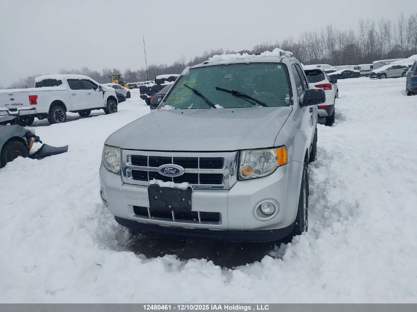 2010 Ford Escape VIN: 1FMCU0D7XAKC74817 Lot: 12480461