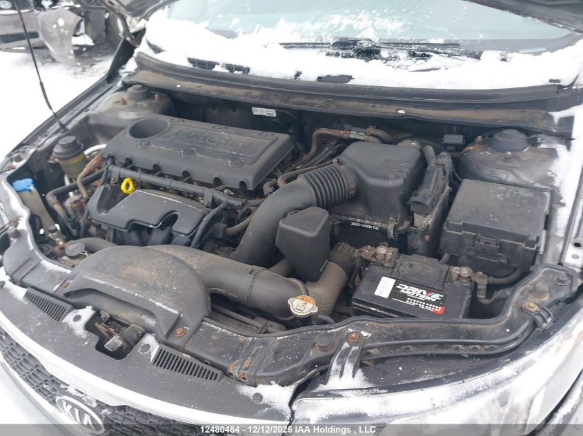 2013 Kia Forte VIN: KNAFU4A2XD5730705 Lot: 12480484