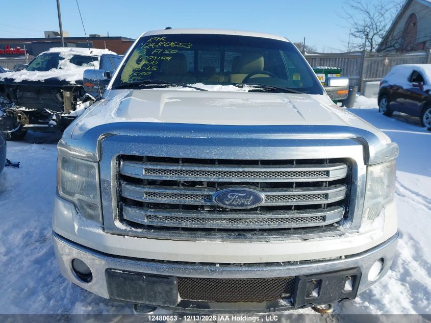 2013 Ford F150 Supercrew VIN: 1FTFW1ET9DFC59199 Lot: 12480653