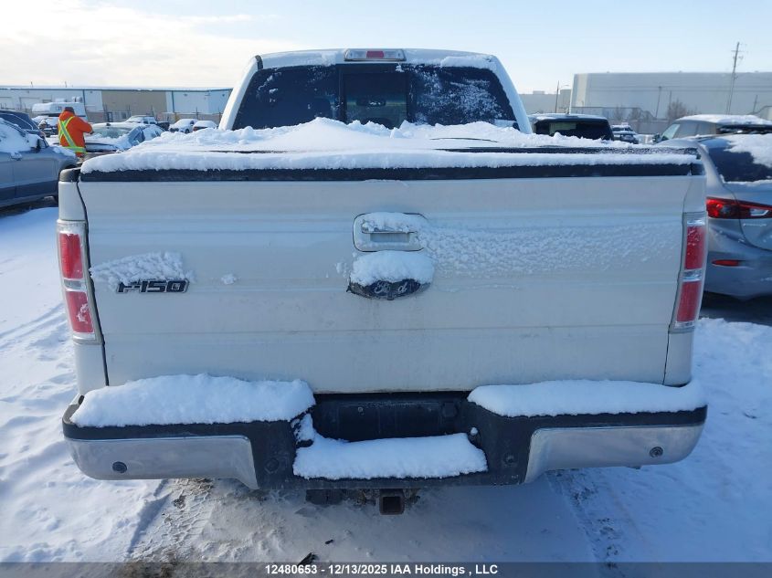 2013 Ford F150 Supercrew VIN: 1FTFW1ET9DFC59199 Lot: 12480653