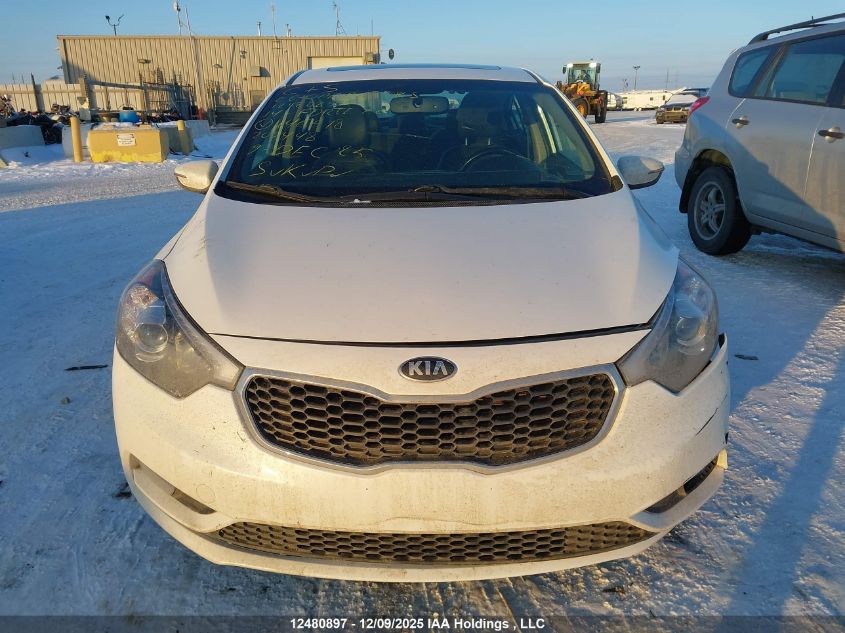 2014 Kia Forte 2.0L Ex/2.0L Sx VIN: KNAFZ4A8XE5146618 Lot: 12480897