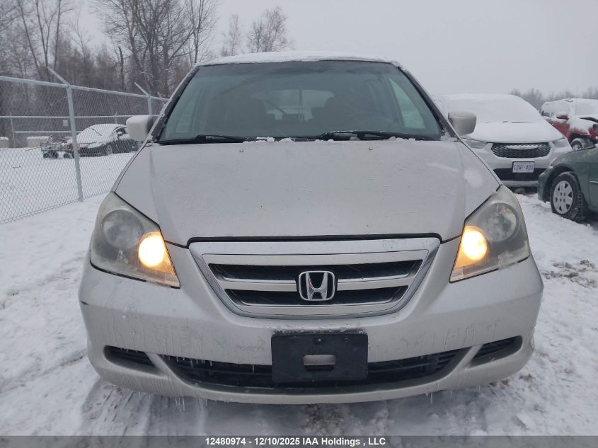 2006 Honda Odyssey VIN: 5FNRL38446B512023 Lot: 12480974