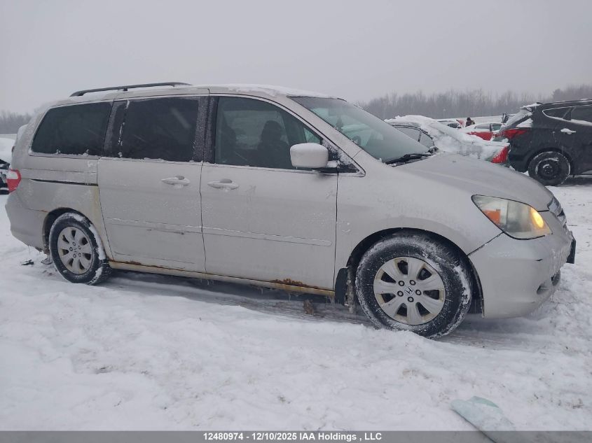 2006 Honda Odyssey VIN: 5FNRL38446B512023 Lot: 12480974