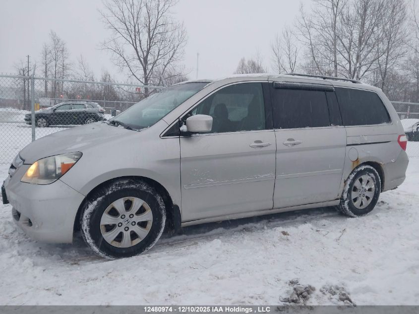 2006 Honda Odyssey VIN: 5FNRL38446B512023 Lot: 12480974