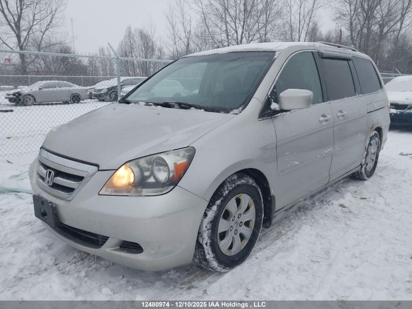 2006 Honda Odyssey VIN: 5FNRL38446B512023 Lot: 12480974