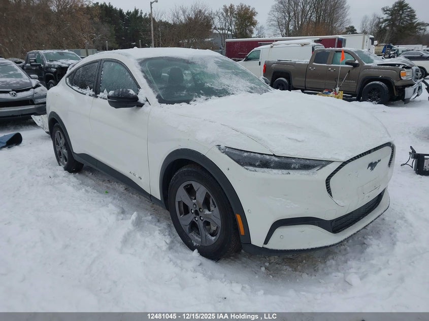 3FMTK1S50PMA82031 2023 Ford Mustang Mach-E Select auction photo 1