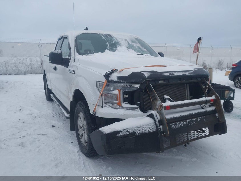 1FTFX1E56LFC36279 2020 Ford F150 Super Cab auction photo 1