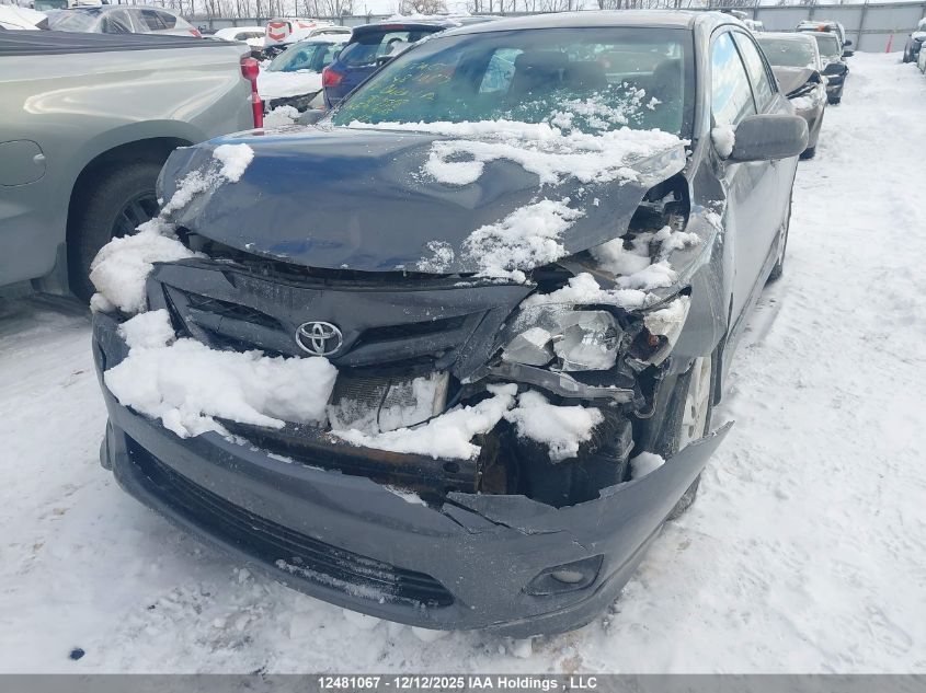 2012 Toyota Corolla VIN: 2T1BU4EE4CC813568 Lot: 12481067