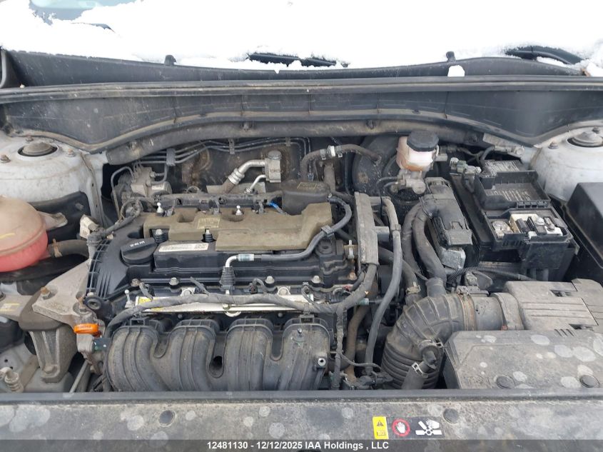 2022 Kia Sorento VIN: 5XYRGDLC8NG106875 Lot: 12481130