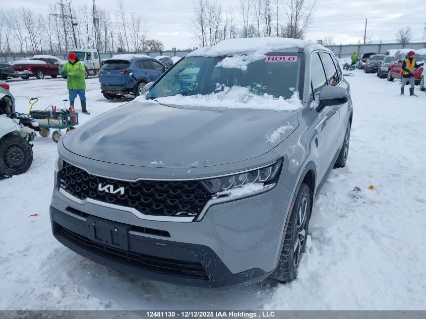 2022 Kia Sorento VIN: 5XYRGDLC8NG106875 Lot: 12481130