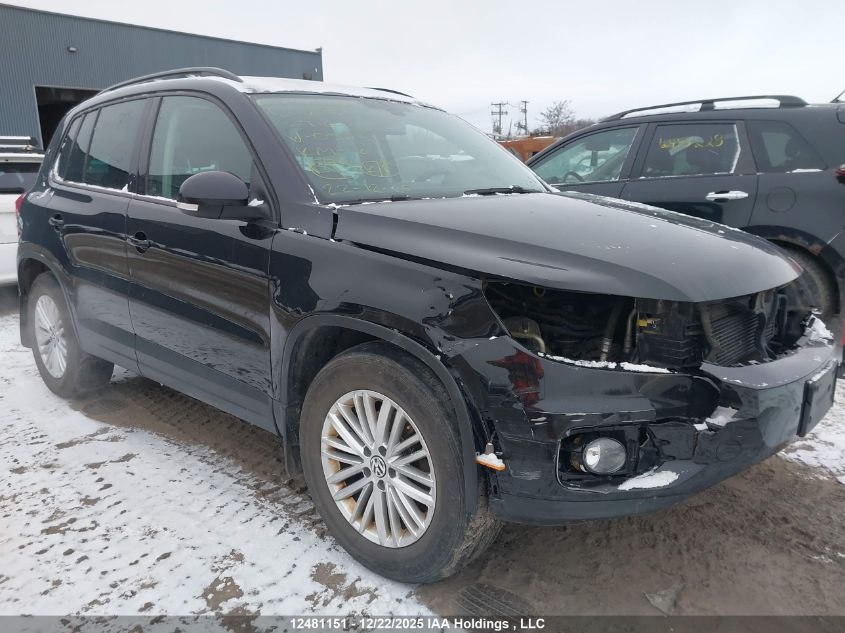 2016 Volkswagen Tiguan Comfortline/Highline/Special Edition VIN: WVGJV7AXXGW097513 Lot: 12481151