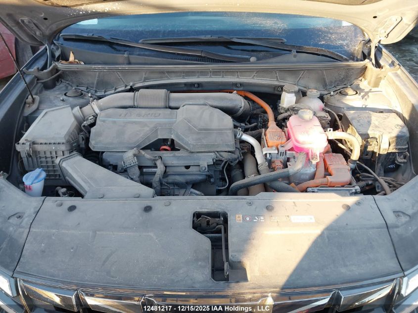 2024 Hyundai Tucson Sel Convenience VIN: KM8JCCD15RU209011 Lot: 12481217