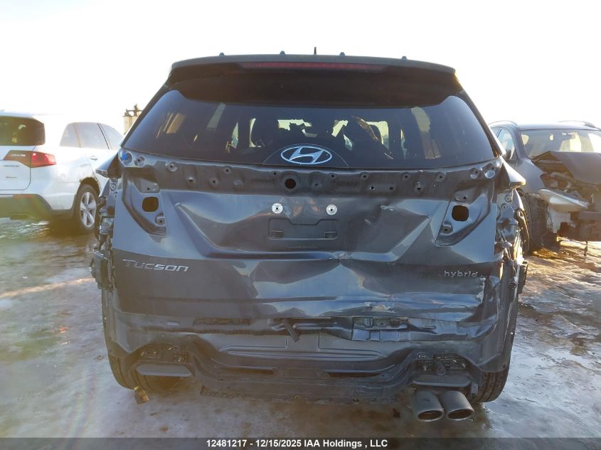 2024 Hyundai Tucson Sel Convenience VIN: KM8JCCD15RU209011 Lot: 12481217