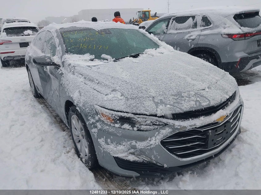 1G1ZD5ST6PF186174 2023 Chevrolet Malibu Lt auction photo 1