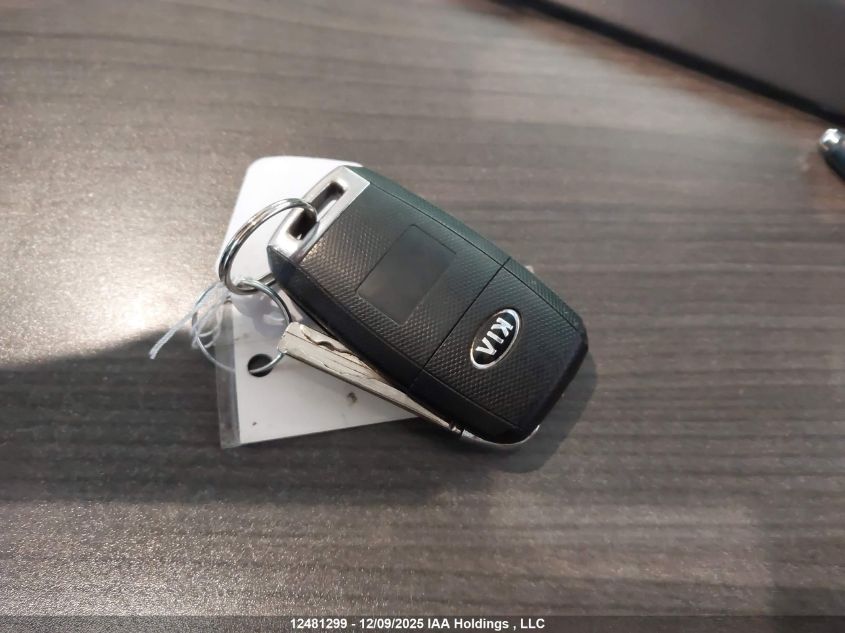 2015 Kia Sorento Lx VIN: 5XYKT3A68FG659029 Lot: 12481299