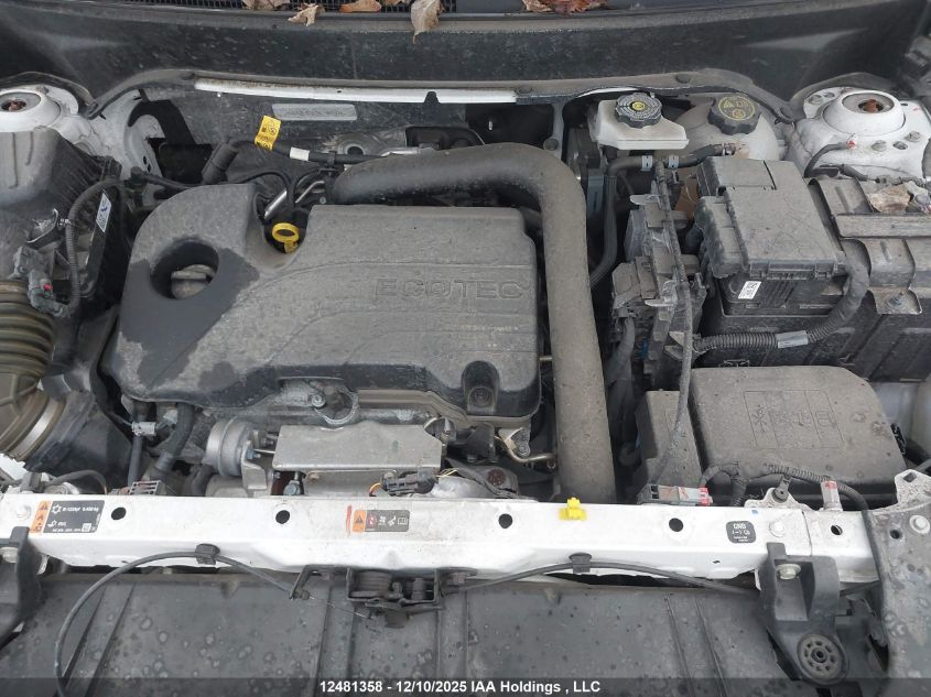 2024 GMC Terrain Denali VIN: 3GKALXEG7RL185131 Lot: 12481358