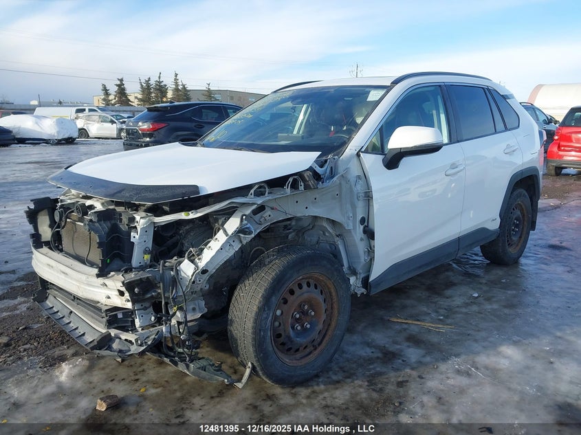 2T3RWRFV0PW165341 2023 TOYOTA RAV 4 photo no. 2