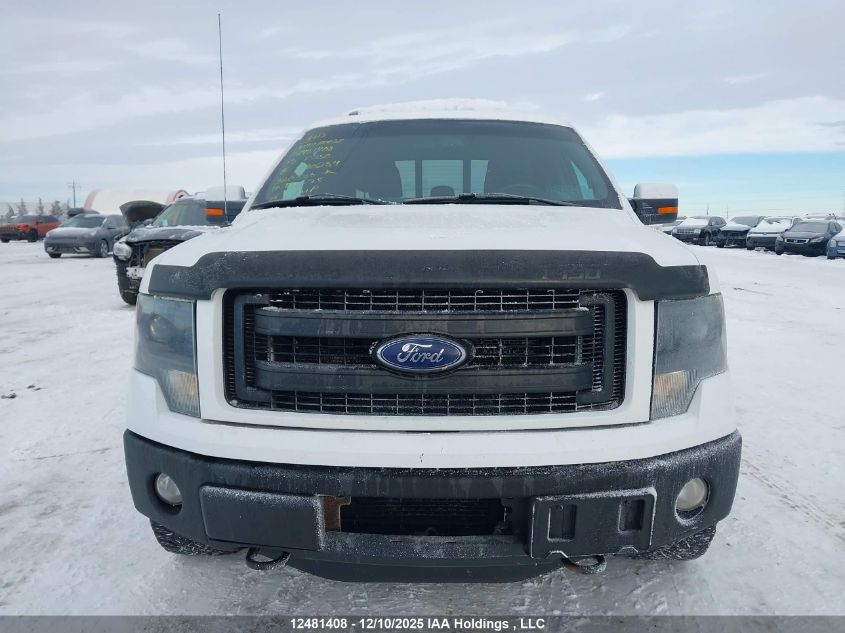 2013 Ford F-150 Fx4 VIN: 1FTFW1ET1DKE90234 Lot: 12481408