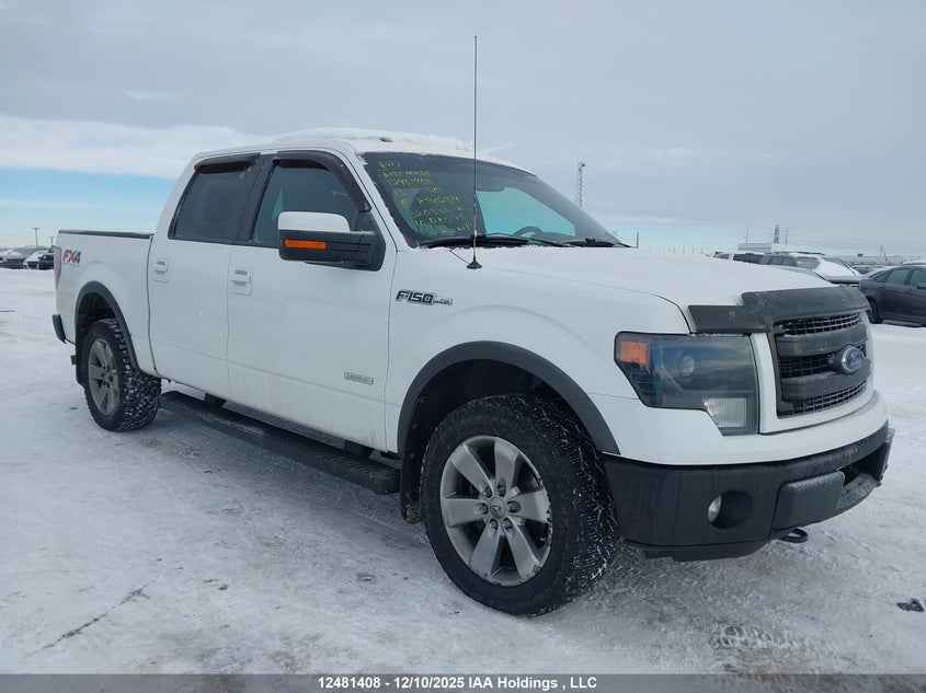 1FTFW1ET1DKE90234 2013 FORD F-150 photo no. 12