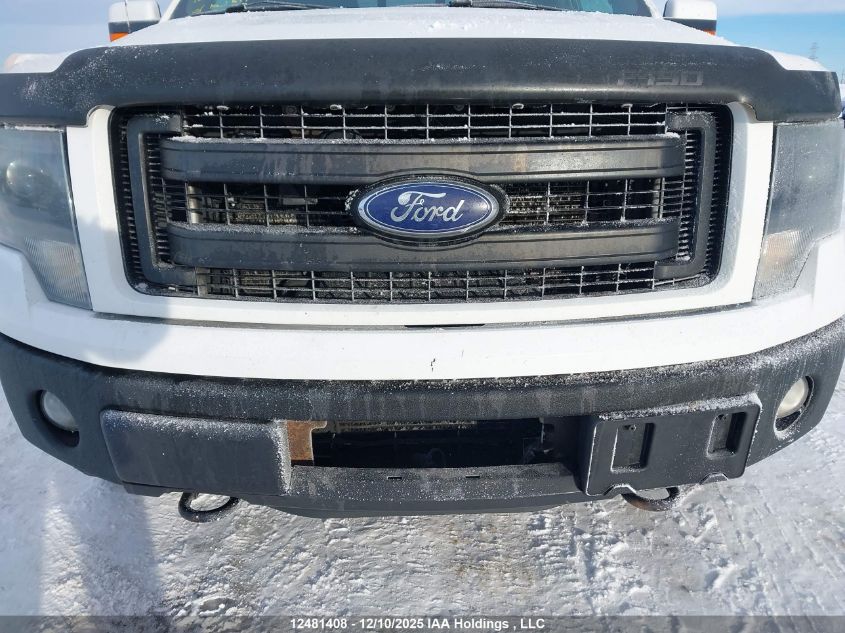 2013 Ford F-150 Fx4 VIN: 1FTFW1ET1DKE90234 Lot: 12481408