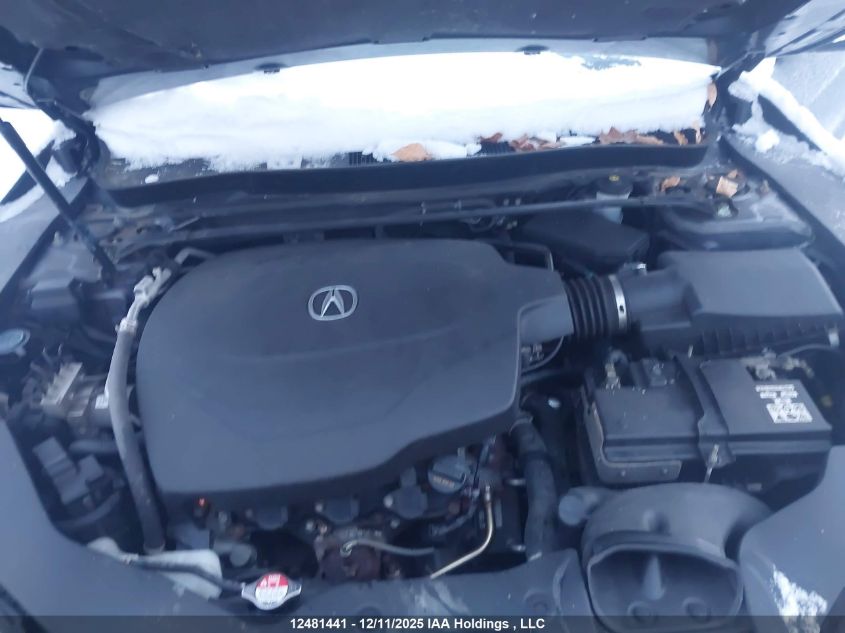 2018 Acura Tlx Tech VIN: 19UUB3F55JA800953 Lot: 12481441