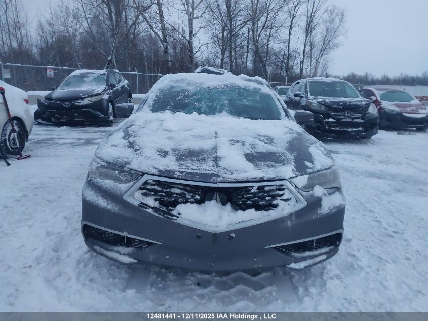 2018 Acura Tlx Tech VIN: 19UUB3F55JA800953 Lot: 12481441