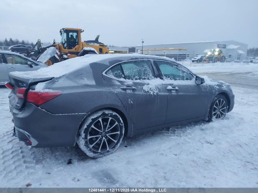 2018 Acura Tlx Tech VIN: 19UUB3F55JA800953 Lot: 12481441