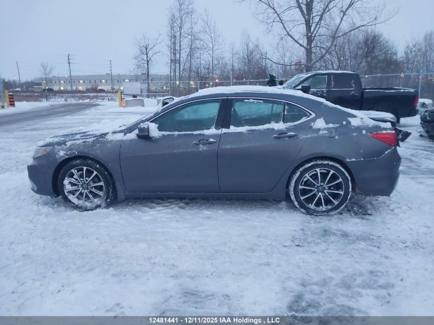 2018 Acura Tlx Tech VIN: 19UUB3F55JA800953 Lot: 12481441