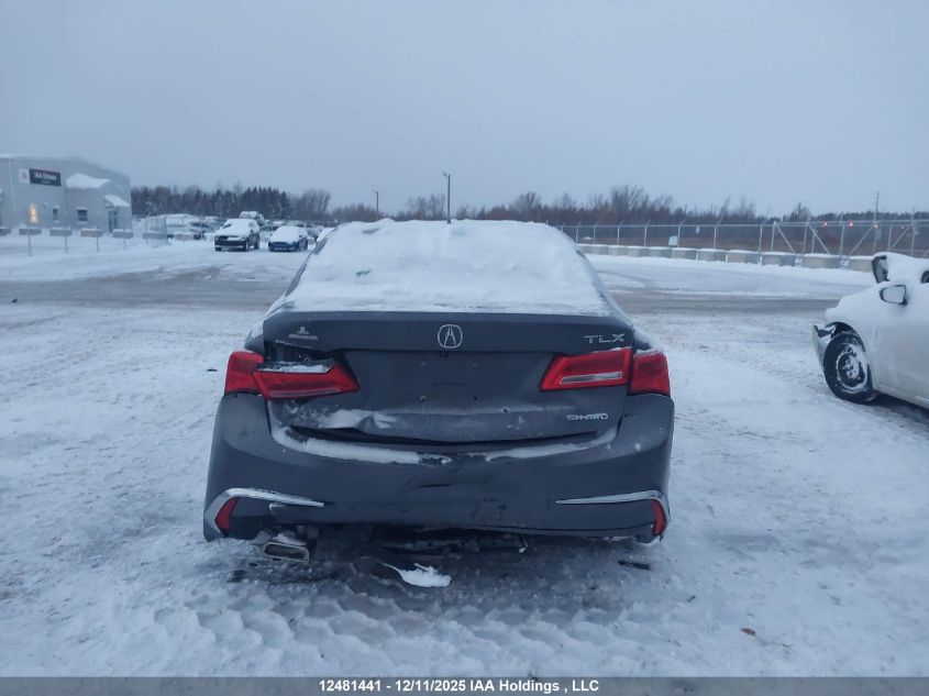 2018 Acura Tlx Tech VIN: 19UUB3F55JA800953 Lot: 12481441