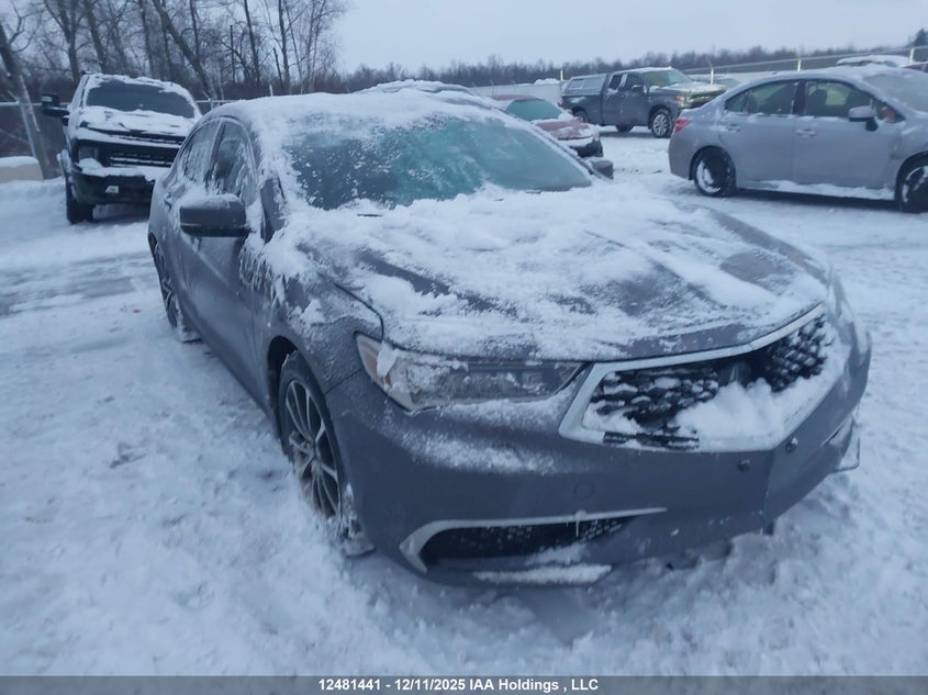 19UUB3F55JA800953 2018 Acura Tlx Tech auction photo 1