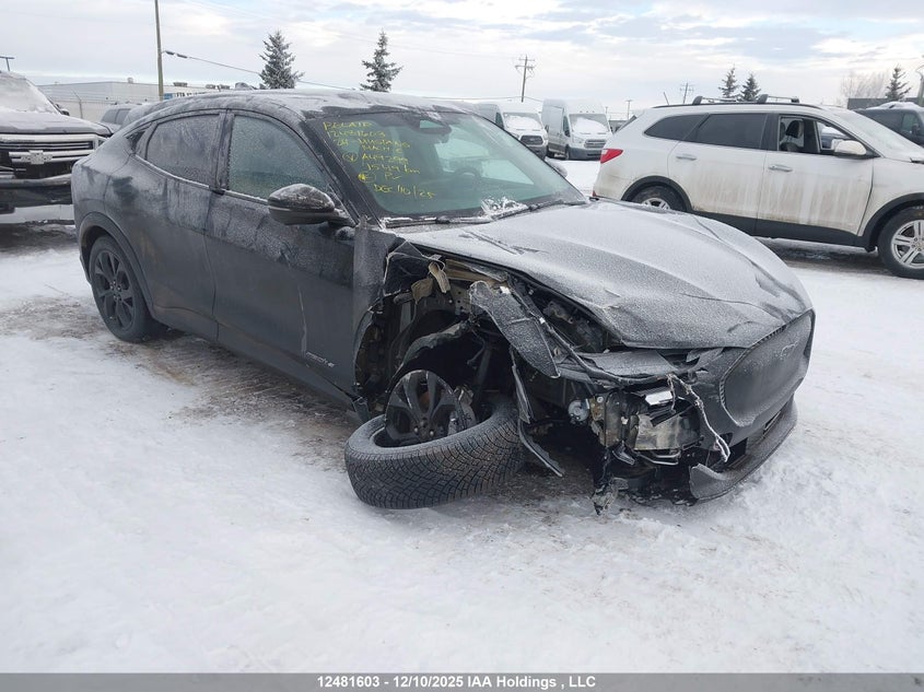 3FMTK1R49RMA49299 2024 Ford Mustang Mach-E Select auction photo 1