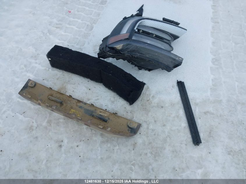 2025 Ford Expedition Max King Ranch VIN: 1FMJK1P83SEA21216 Lot: 12481630