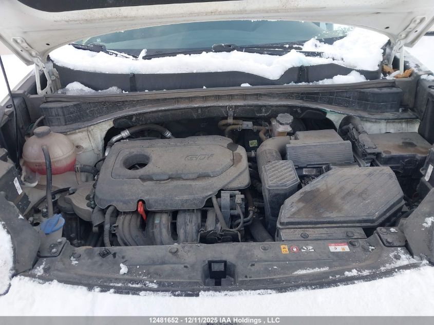 2022 Kia Sportage VIN: KNDPM3AC9N7977150 Lot: 12481652