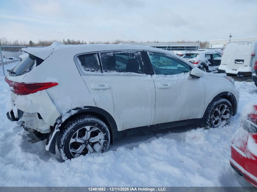 2022 Kia Sportage VIN: KNDPM3AC9N7977150 Lot: 12481652