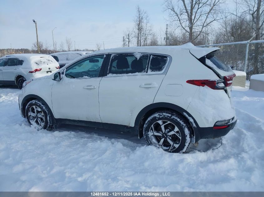 2022 Kia Sportage VIN: KNDPM3AC9N7977150 Lot: 12481652