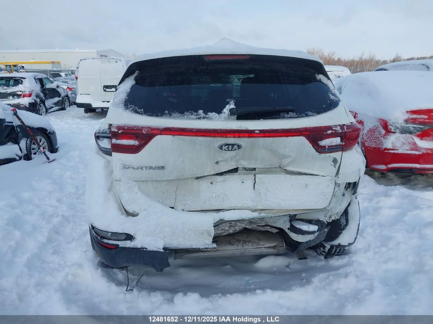 2022 Kia Sportage VIN: KNDPM3AC9N7977150 Lot: 12481652
