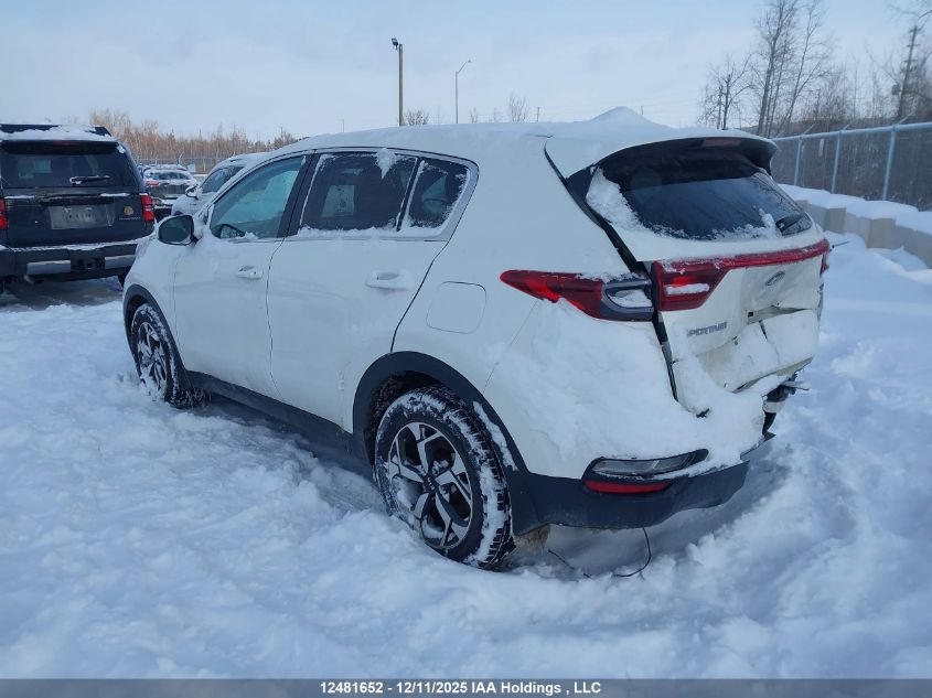 2022 Kia Sportage VIN: KNDPM3AC9N7977150 Lot: 12481652