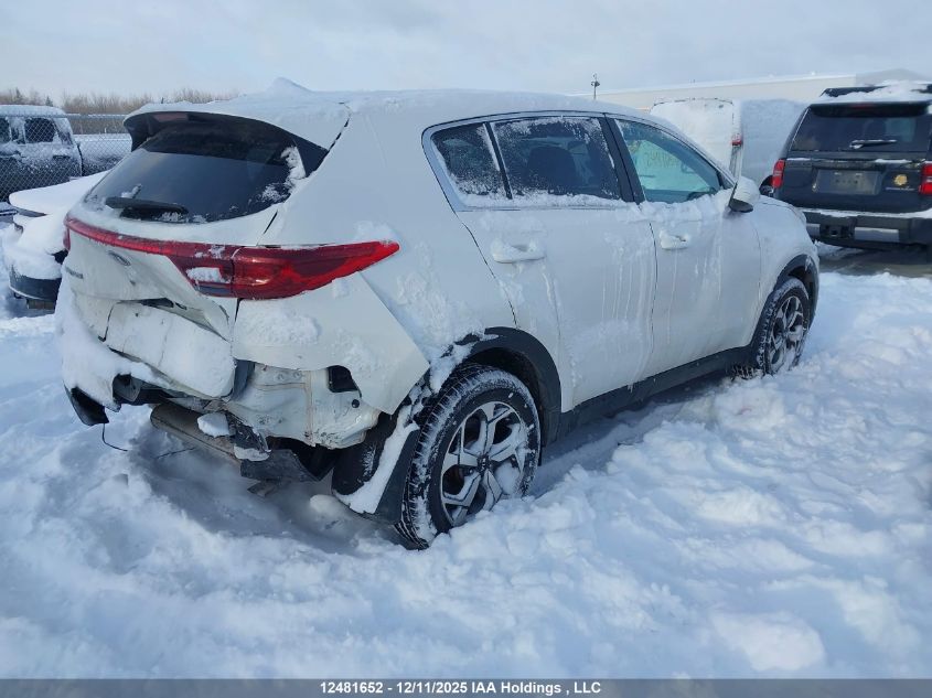 2022 Kia Sportage VIN: KNDPM3AC9N7977150 Lot: 12481652