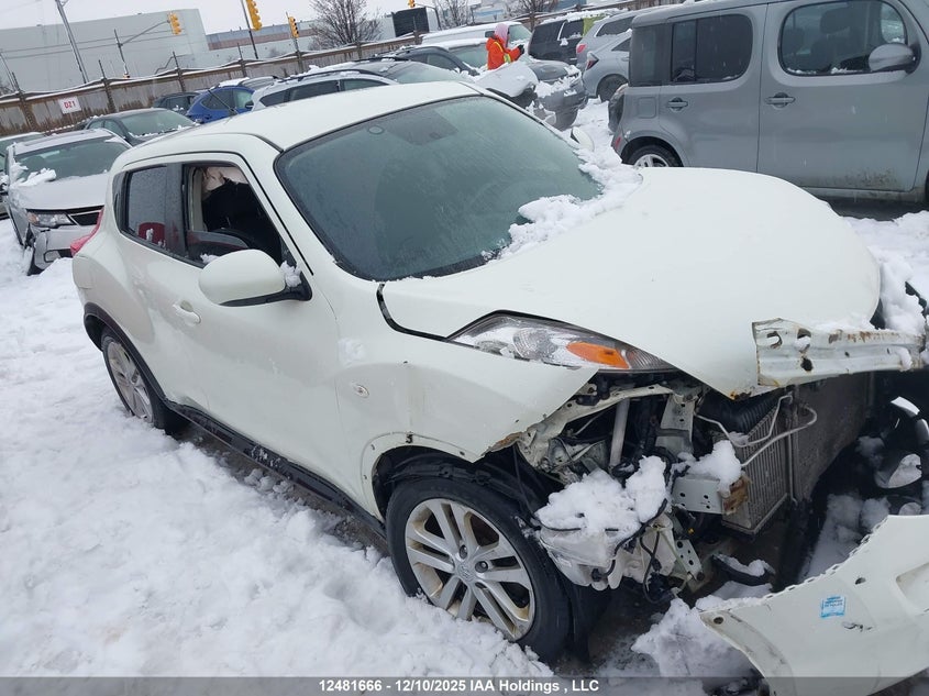 JN8AF5MRXBT003874 2011 Nissan Juke Sv auction photo 1