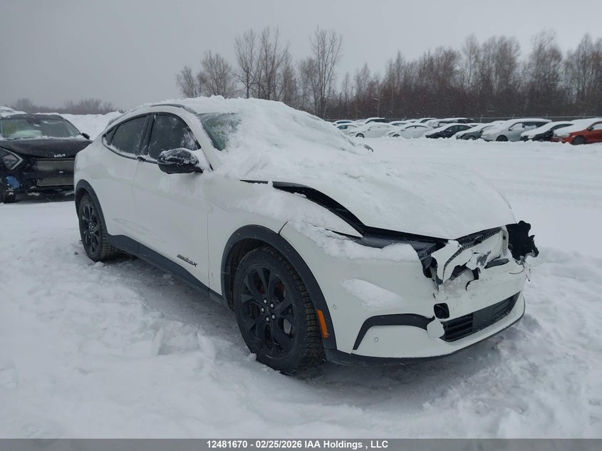 3FMTK1SU5RMA35779 FORD MUSTANG MACH-E Photo 1