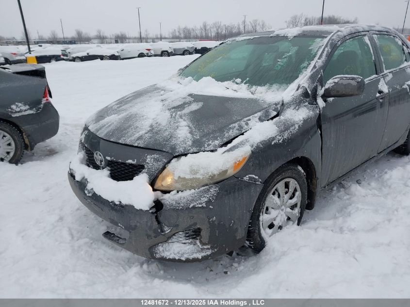 2010 Toyota Corolla VIN: 2T1BU4EE2AC293674 Lot: 12481672