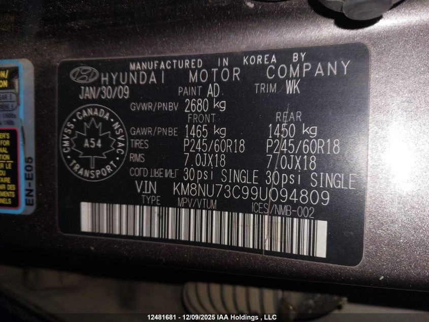 2009 Hyundai Veracruz VIN: KM8NU73C99U094809 Lot: 12481681