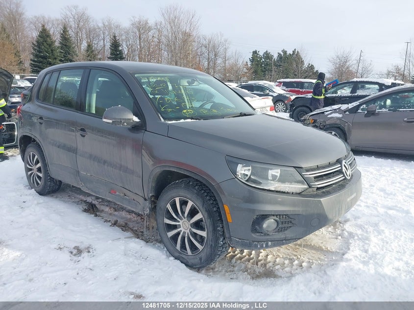WVGBV7AXXCW006173 2012 Volkswagen Tiguan auction photo 1