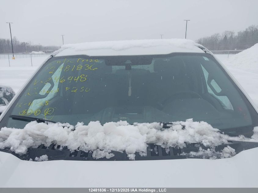 2022 Ford F250 Super Duty VIN: 1FT7W2BT0NEE46448 Lot: 12481836