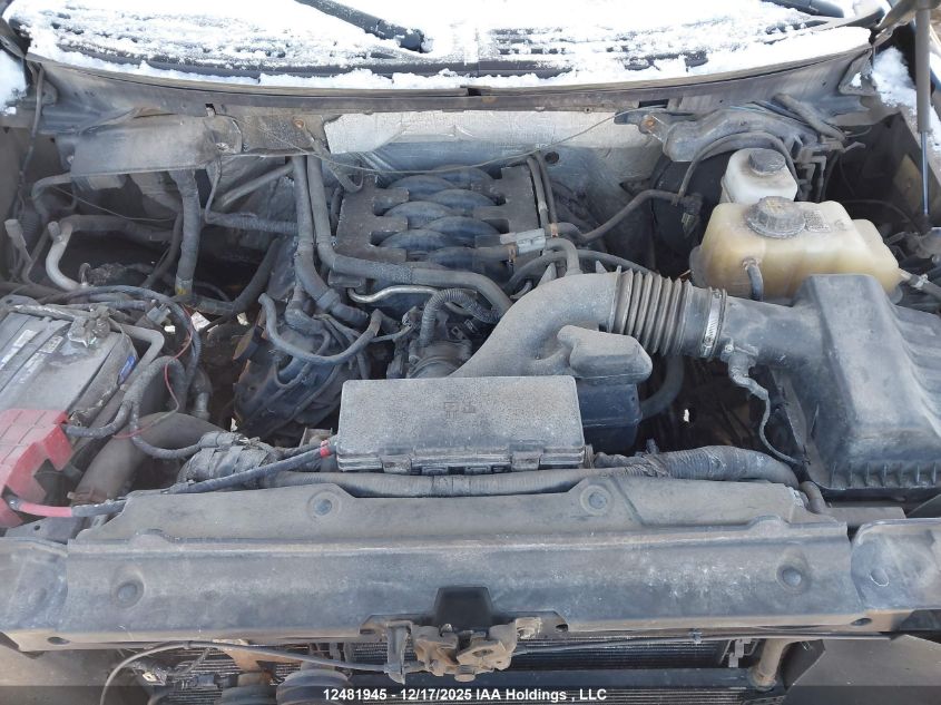 2011 Ford F150 Super Cab VIN: 1FTFX1EF7BFC42258 Lot: 12481945